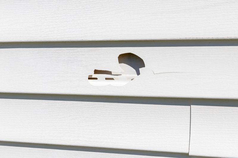 Vinyl Siding Repair Patch